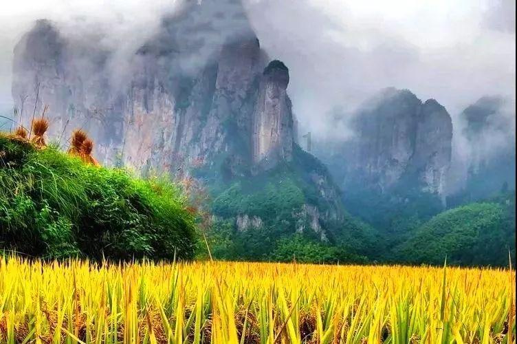 阿明正传:一个把乌干达变成人间地狱的“吃人恶魔”